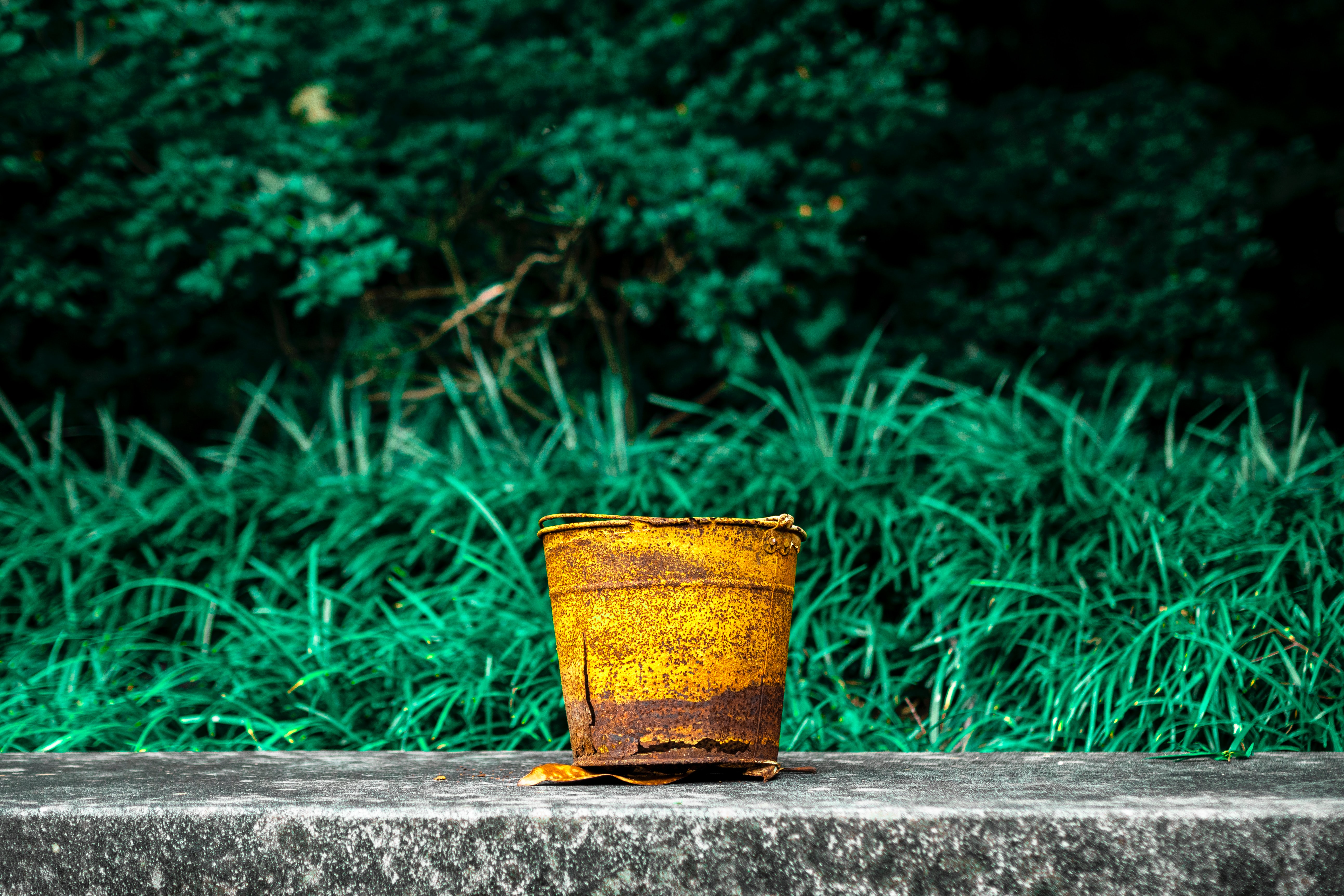 A rusty bucket sat on a stone floor in front of grass and trees