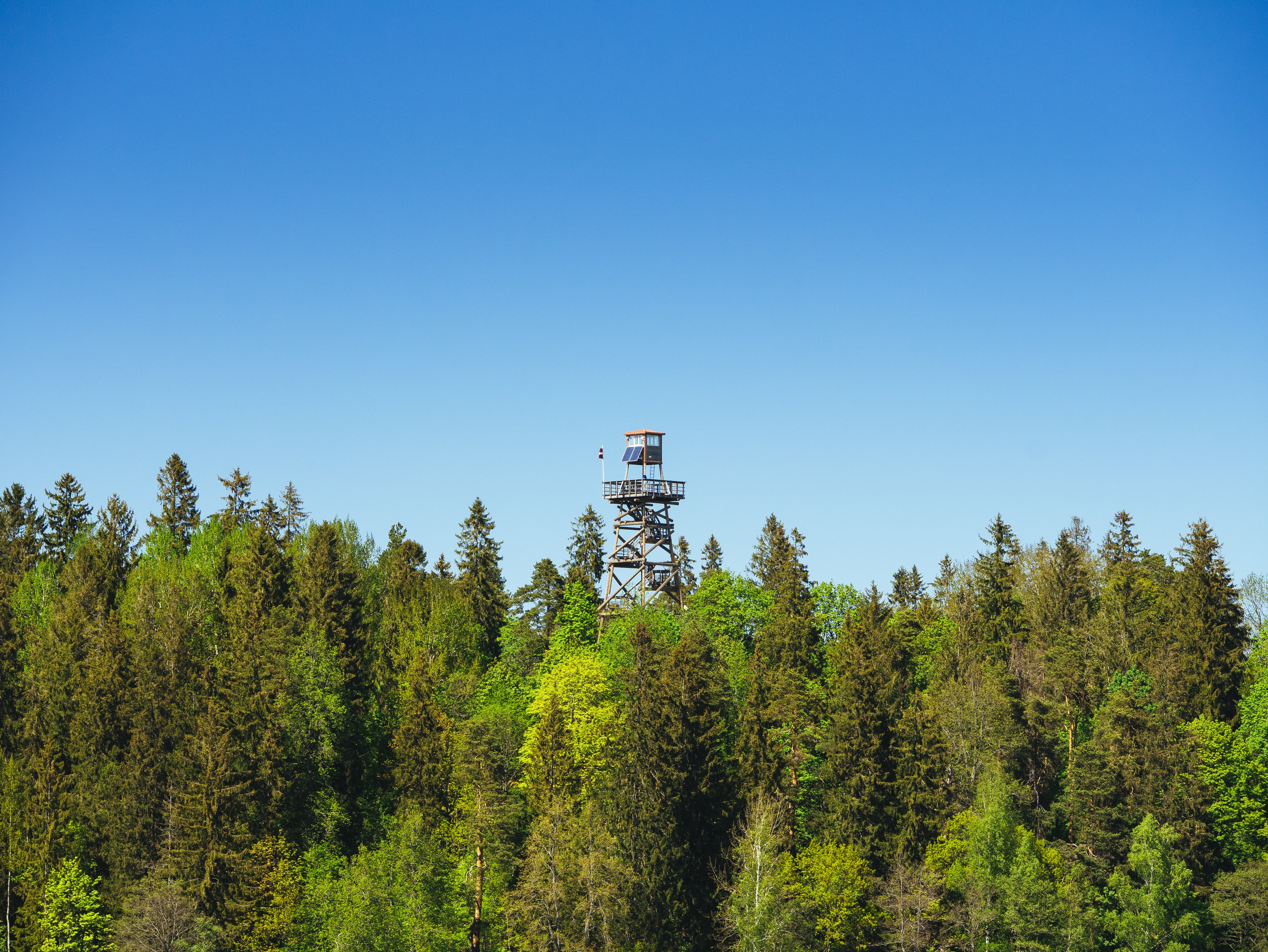A fire lookout tower rises above the treeline.